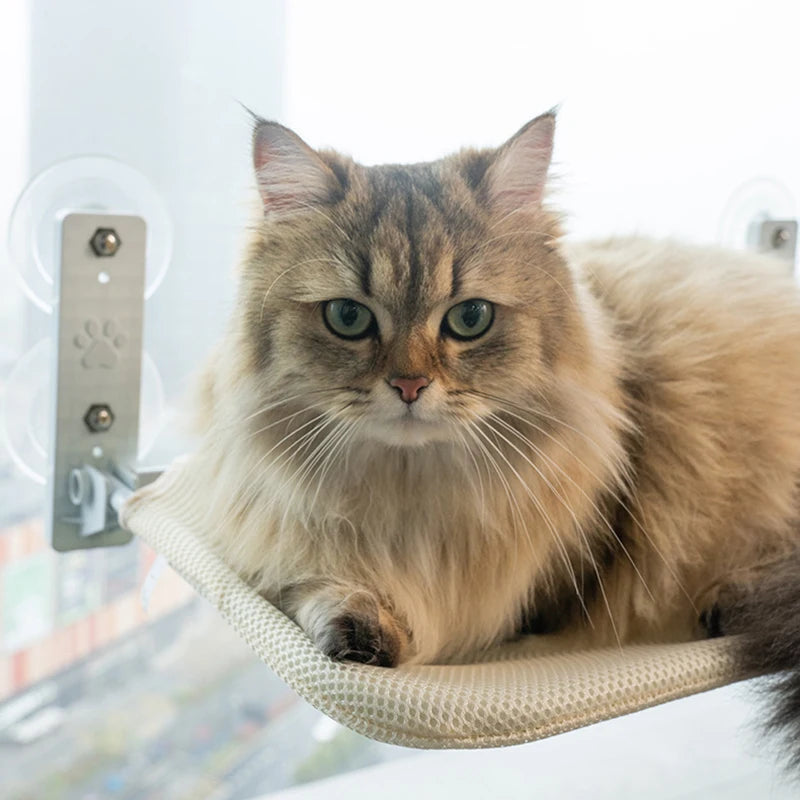 Foldable Cat Window Hammock