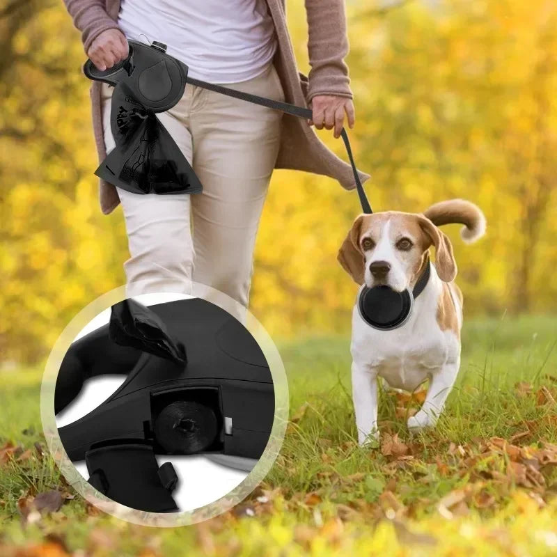 Multifunctional Leash